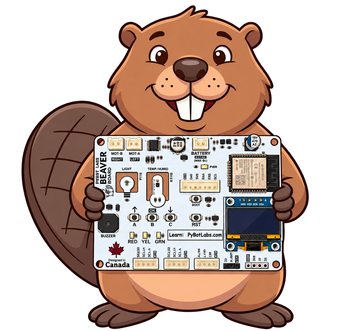 PyBot Beaver Board