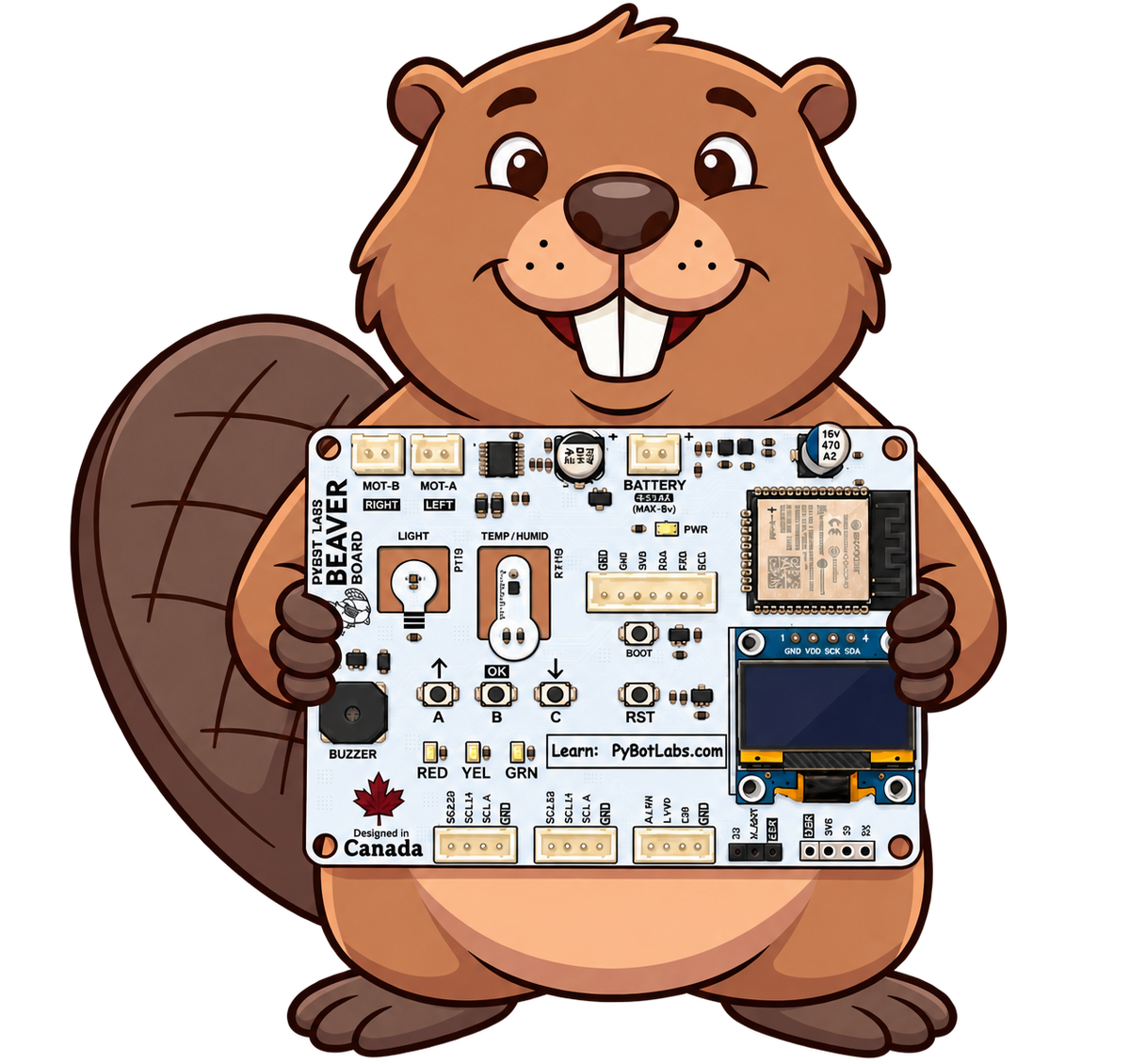 Beaver holding the PyBot Beaver Board